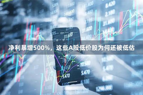 净利暴增500%,这些A股低价股为何还被低估