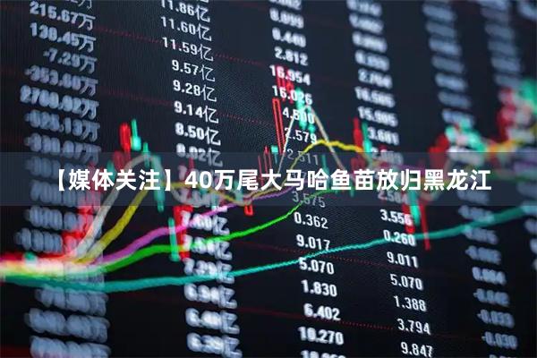 【媒体关注】40万尾大马哈鱼苗放归黑龙江
